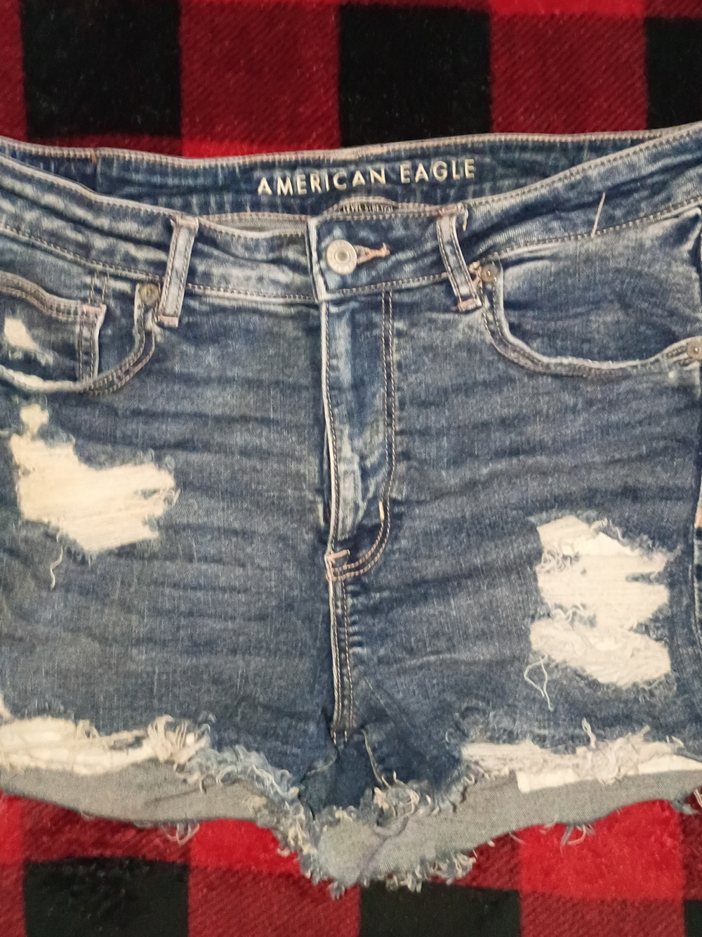 American Eagle Outfitters Distressed Blue Denim Cutoff Shorts